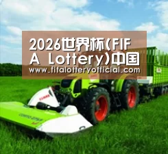 关于世界杯投注站