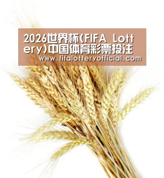 2026世界杯(FIFA Lottery)中国体育彩票投注平台_官网入口