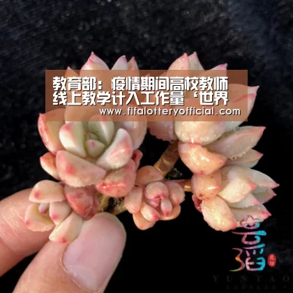 世界杯投注站官网